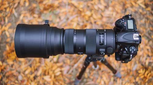 لنز سیگما Sigma 150-600mm for Canon