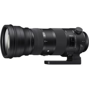 Sigma 150-600mm for Nikon F