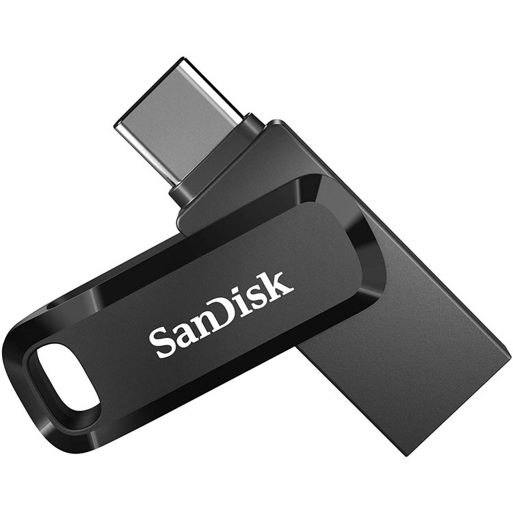 فلش مموری SanDisk 256GB SDDC3