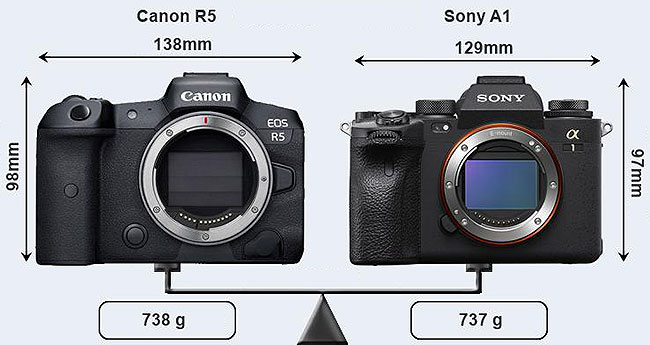 وزن دوربین sony a1
