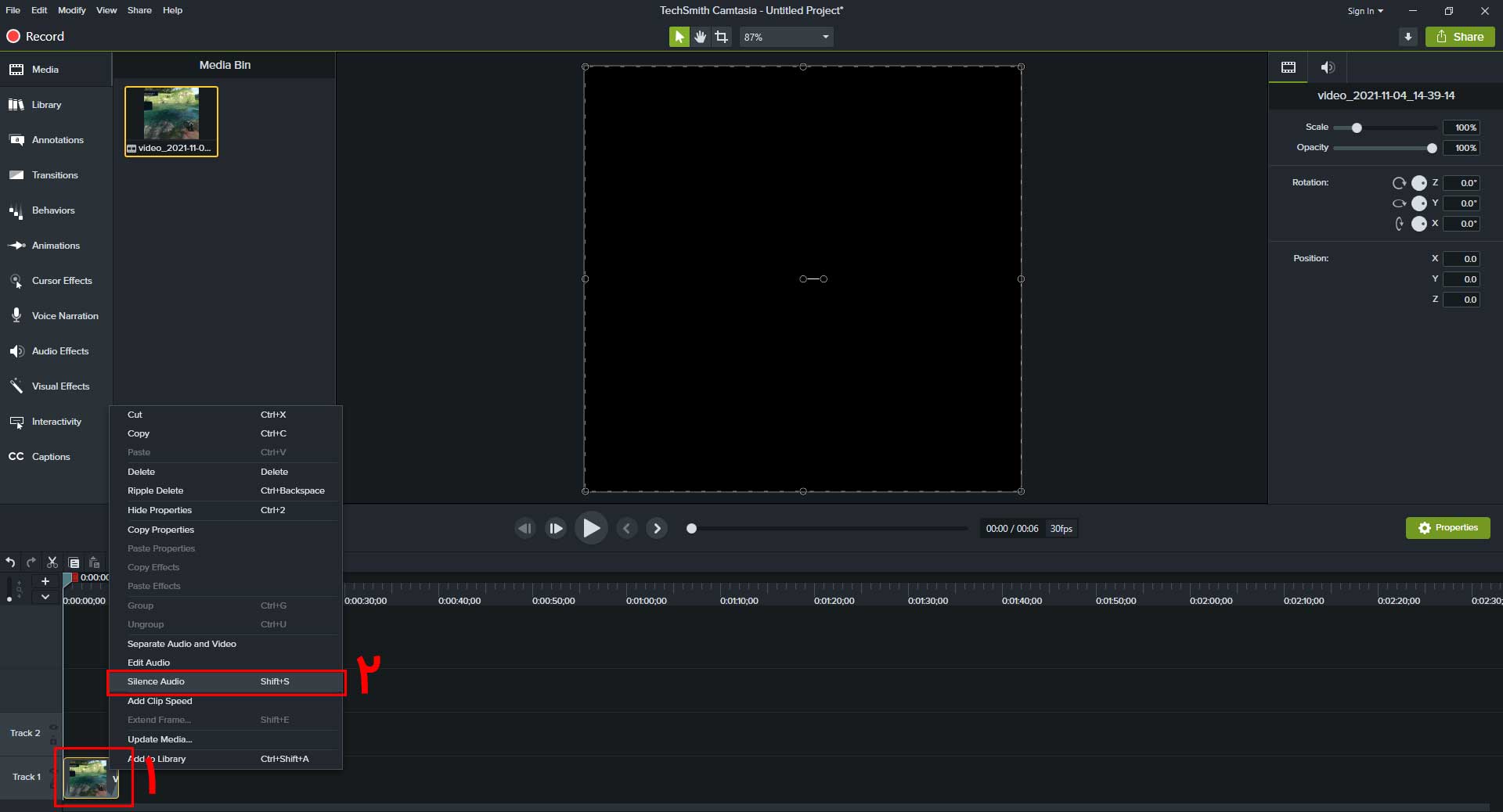 حذف صدا از ویدئو در ویندوز با استفاده از Camtasia