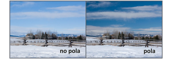 Polarizing Filter