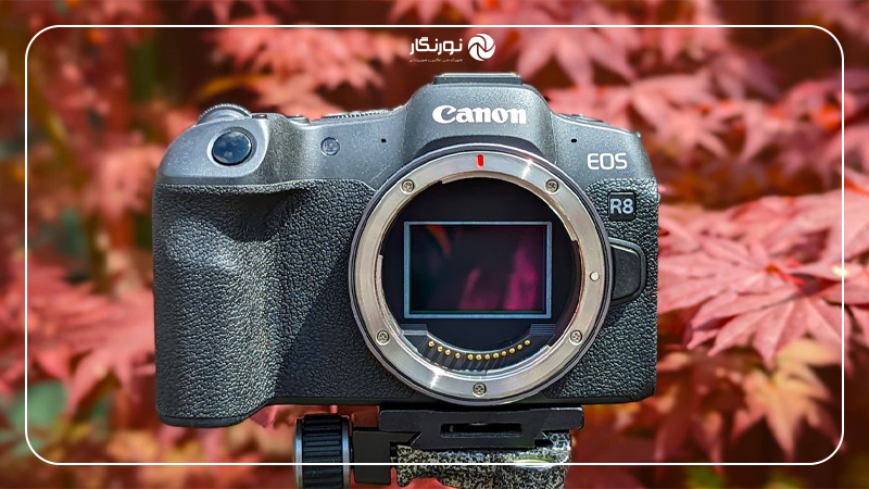 دوربین بدون آینه کانن Canon EOS R8 Mirrorless Camera Body